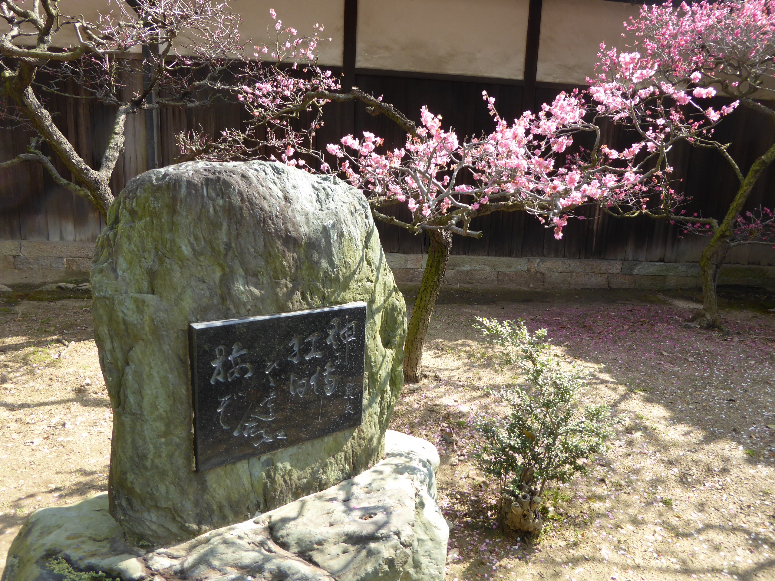 P1050410.JPG