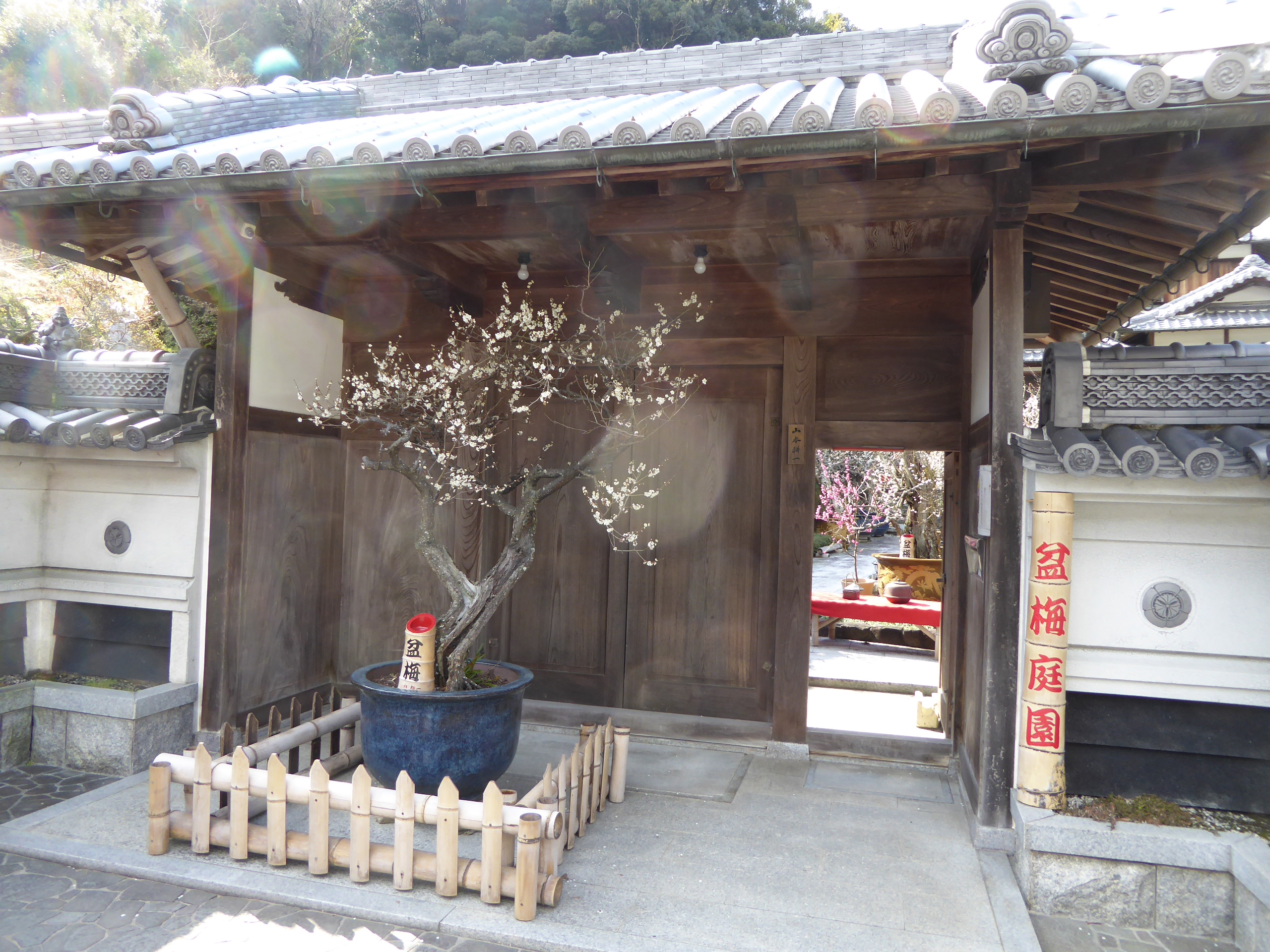 P1050427.JPG