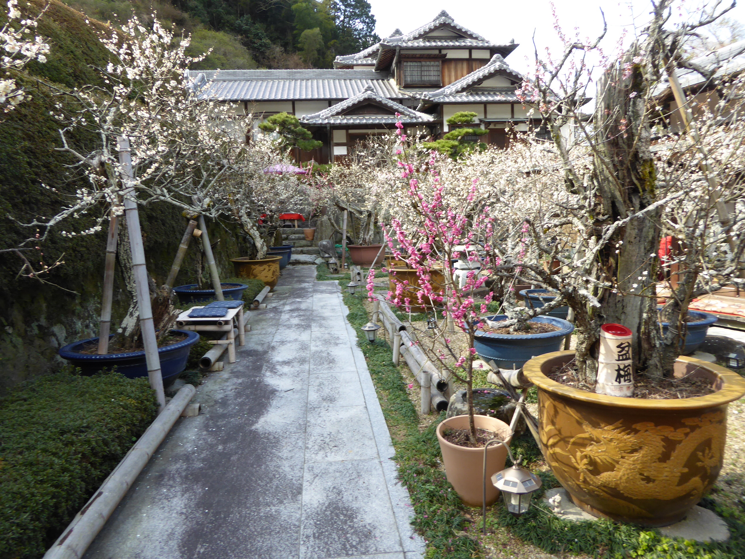 P1050428.JPG