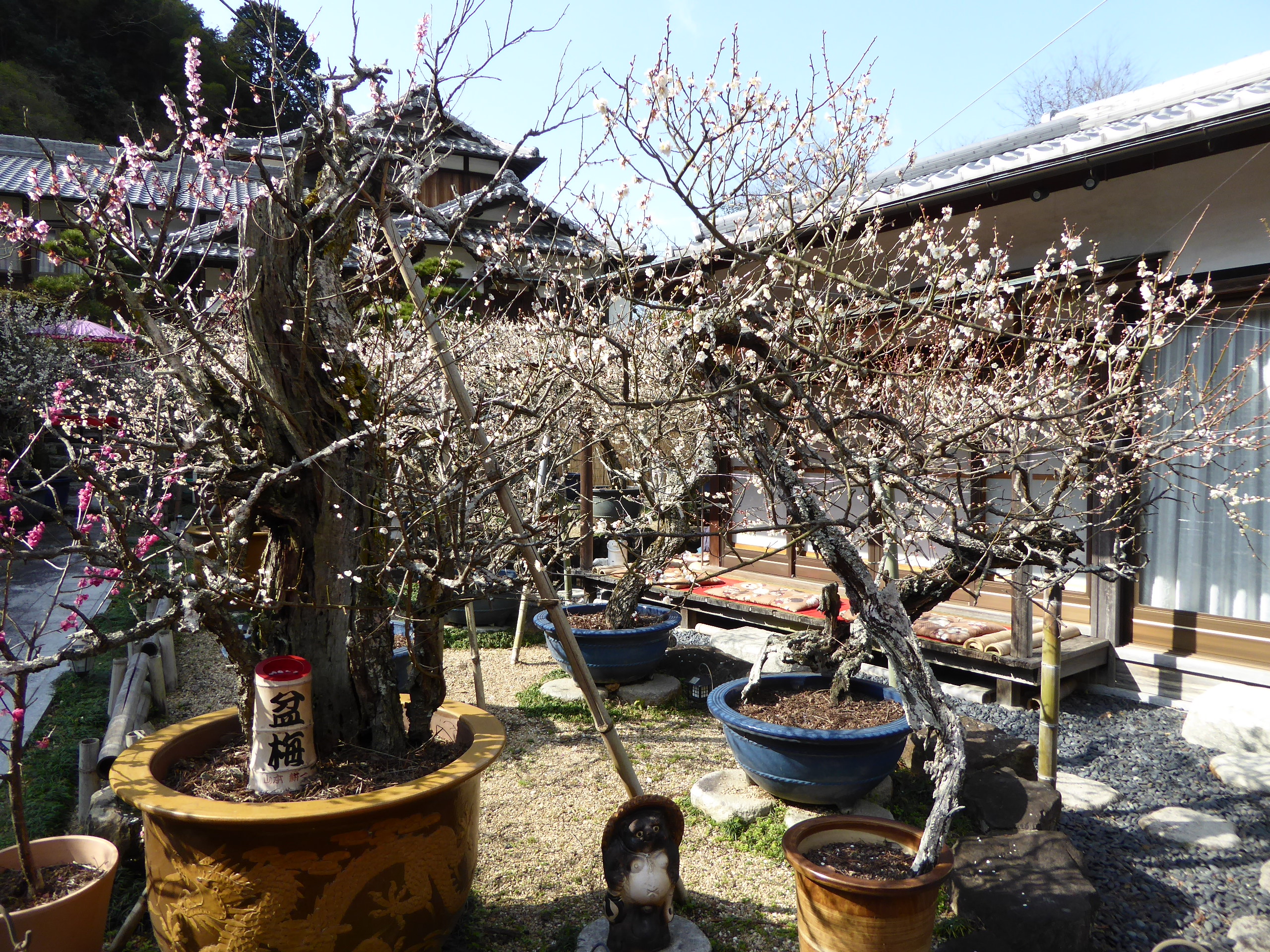 P1050429.JPG