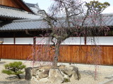 img0005.jpg