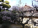 img0006.jpg