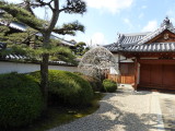 img0008.jpg