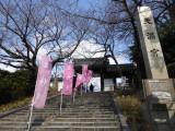 img0010.jpg