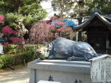 img0012.jpg
