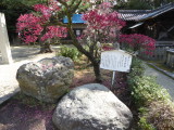 img0013.jpg