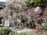 img0014.jpg