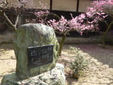 img0015.jpg