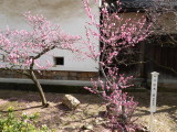 img0016.jpg