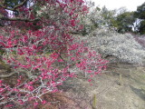 img0017.jpg