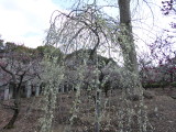 img0018.jpg