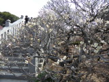 img0019.jpg