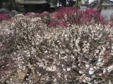 img0022.jpg