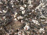 img0023.jpg