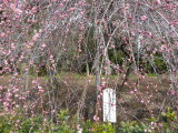 img0026.jpg