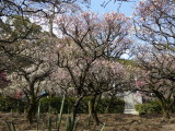 img0027.jpg