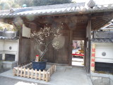 img0031.jpg