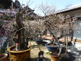 img0033.jpg