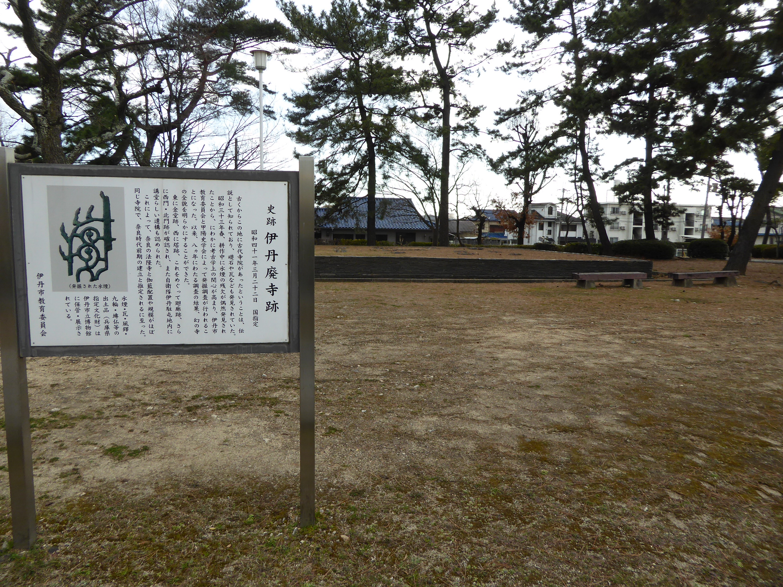 P1050433.JPG