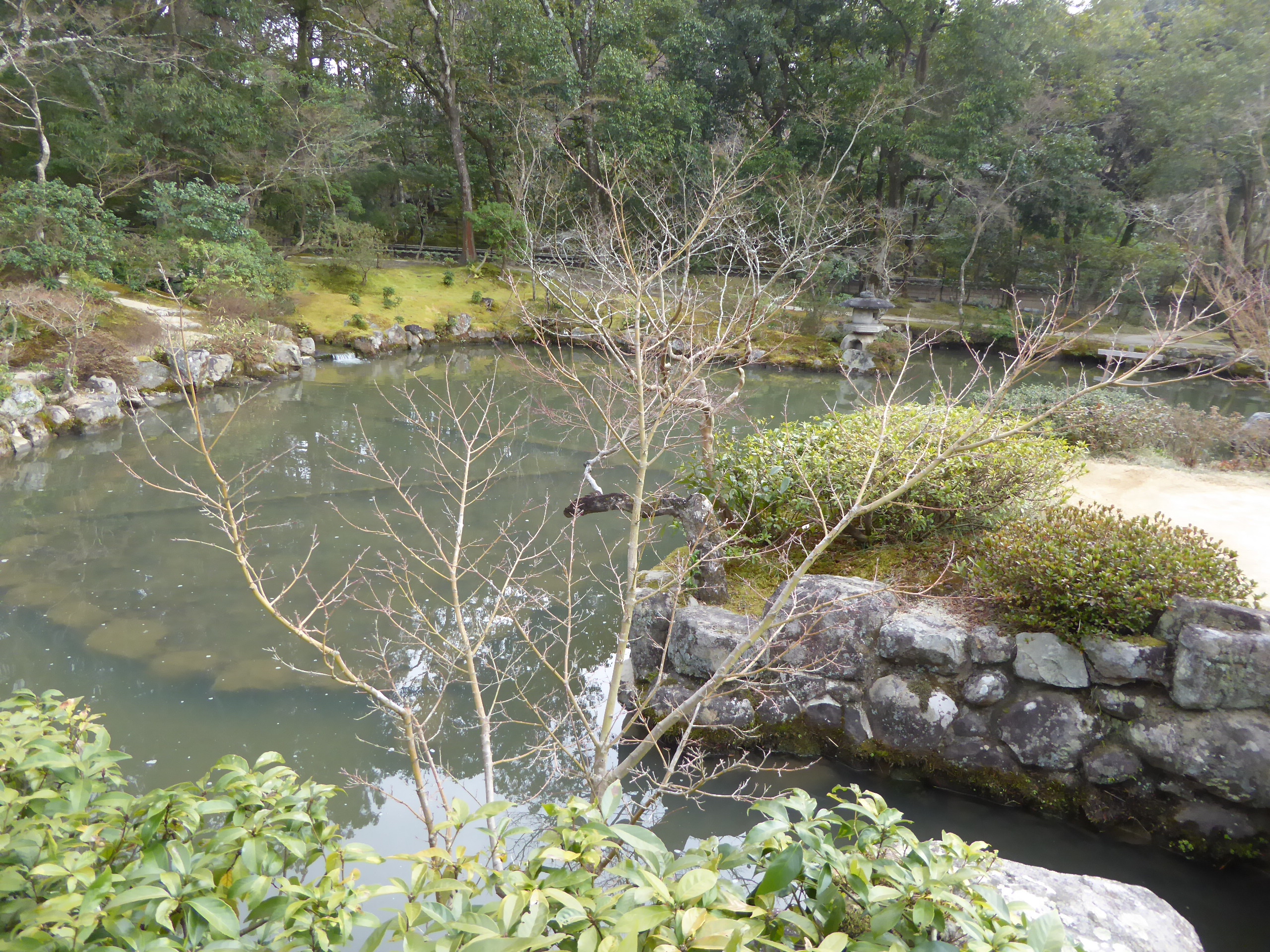 P1050434.JPG