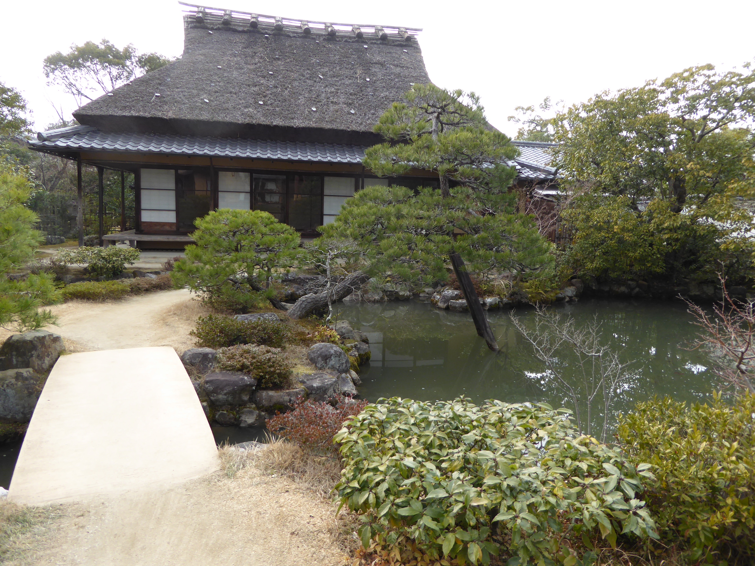 P1050435.JPG