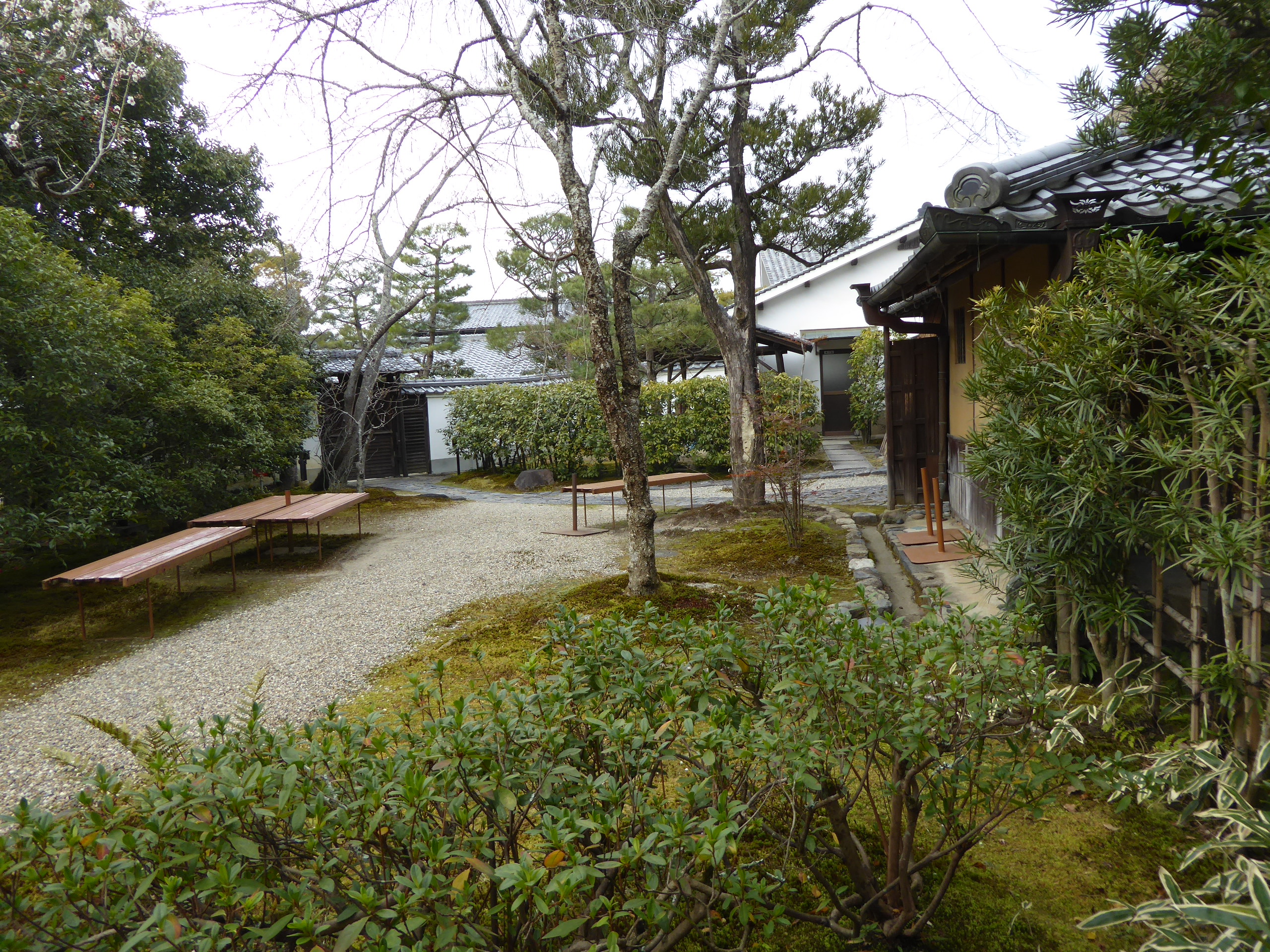 P1050437.JPG