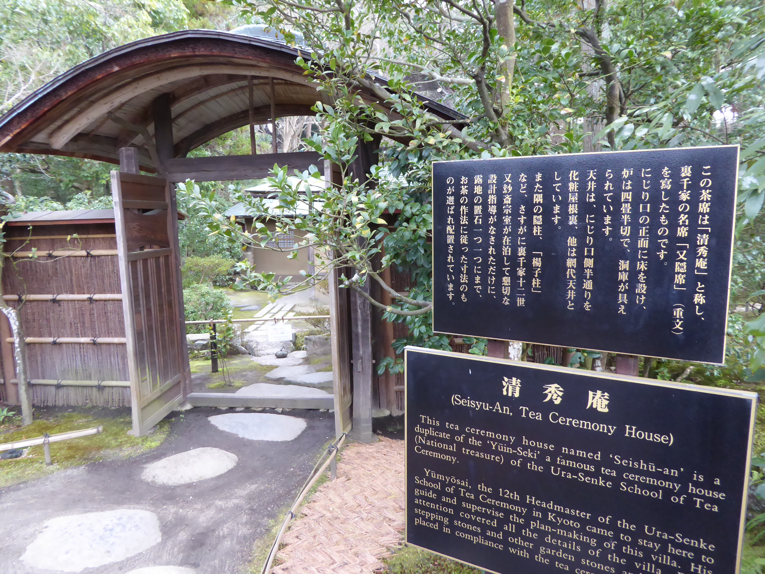 P1050440.JPG