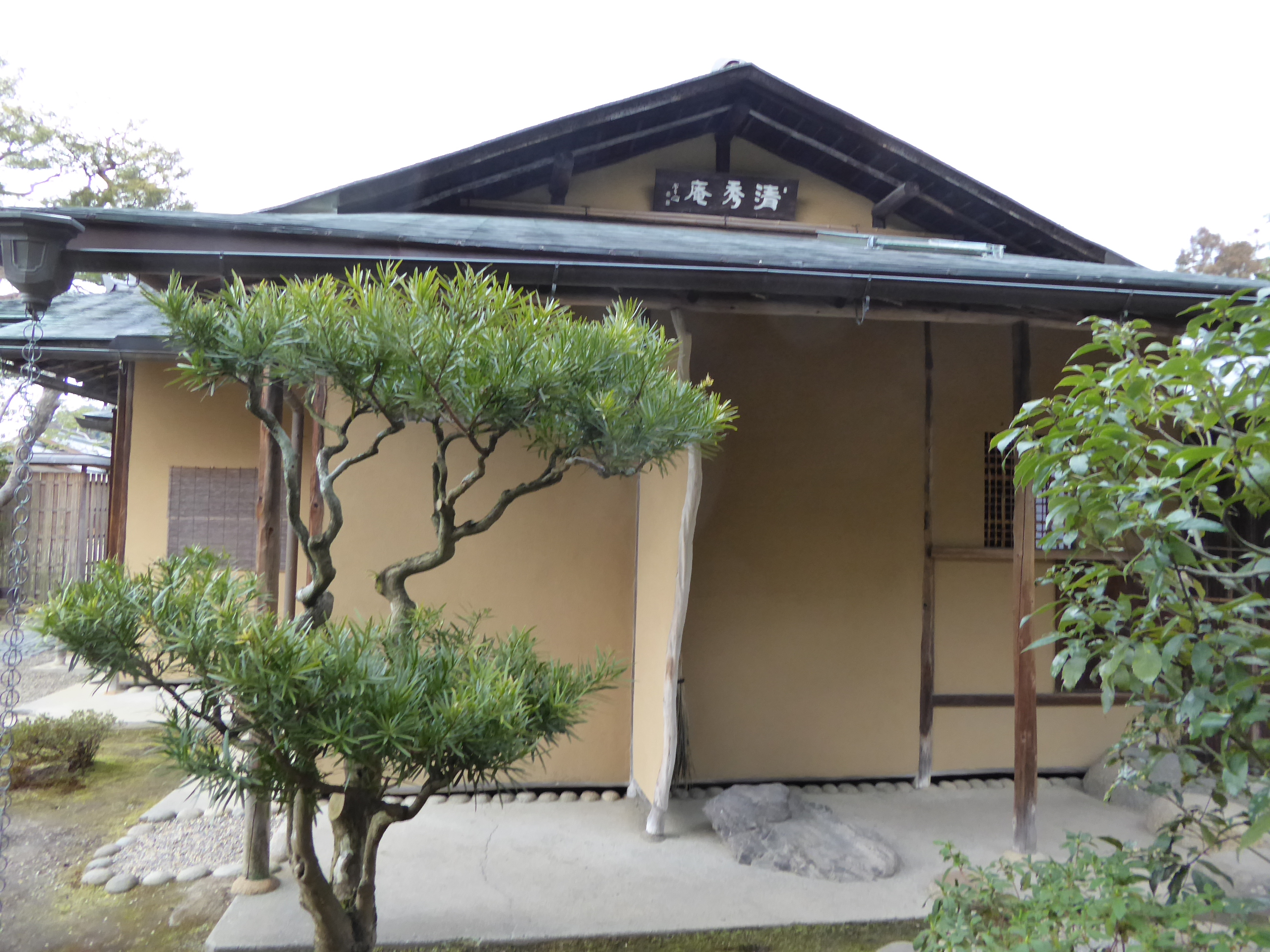 P1050441.JPG
