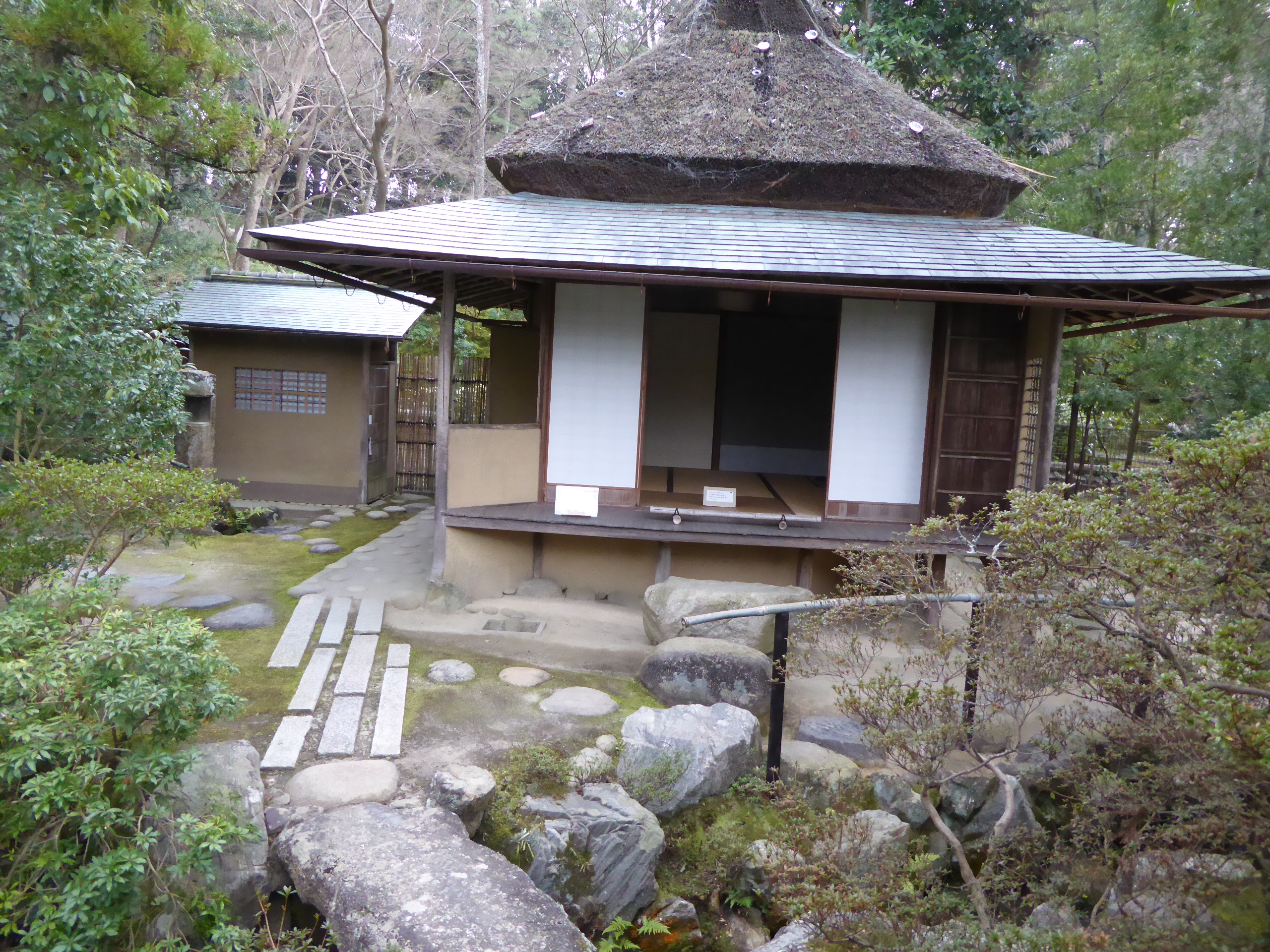 P1050442.JPG
