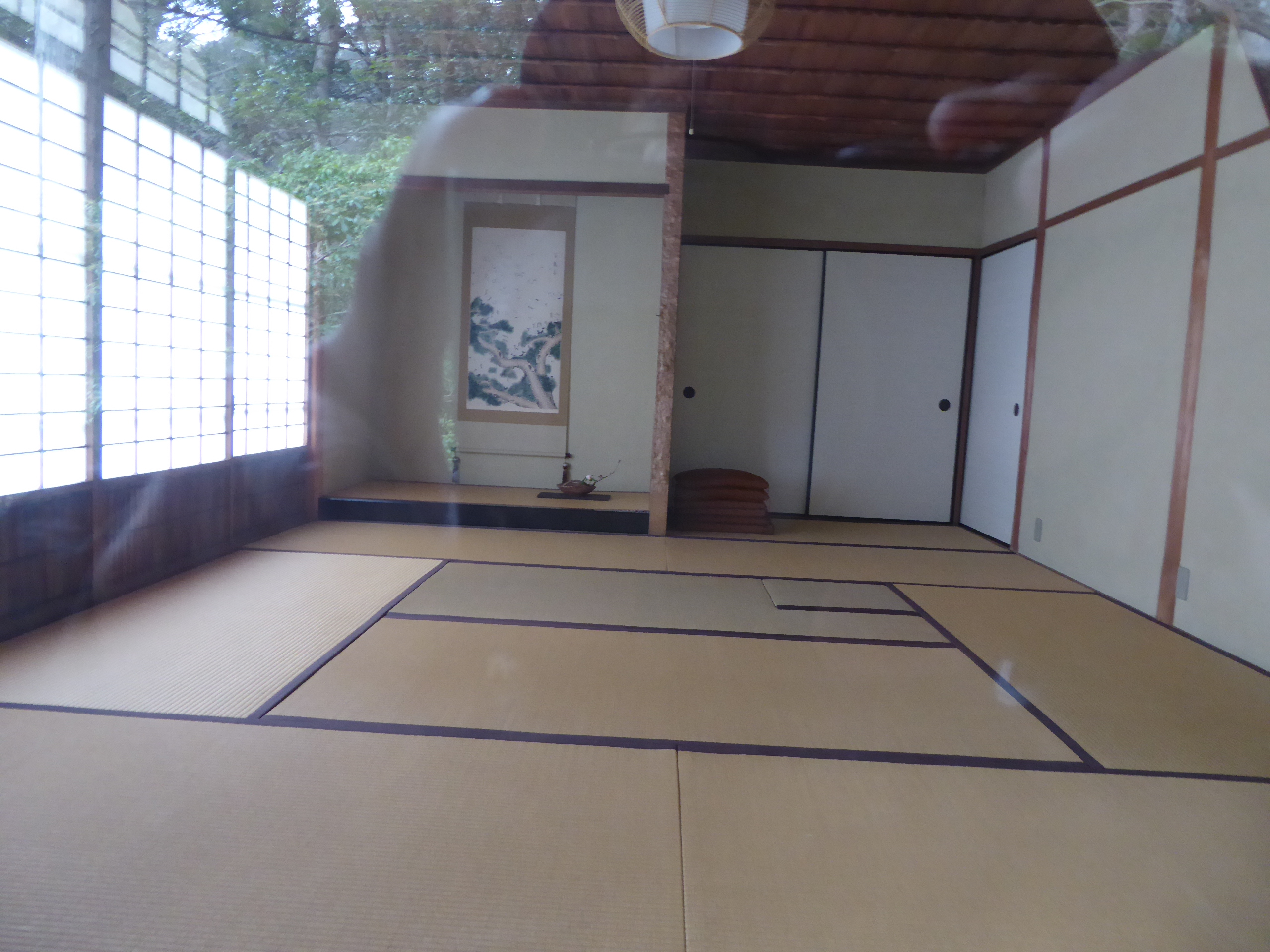 P1050443.JPG