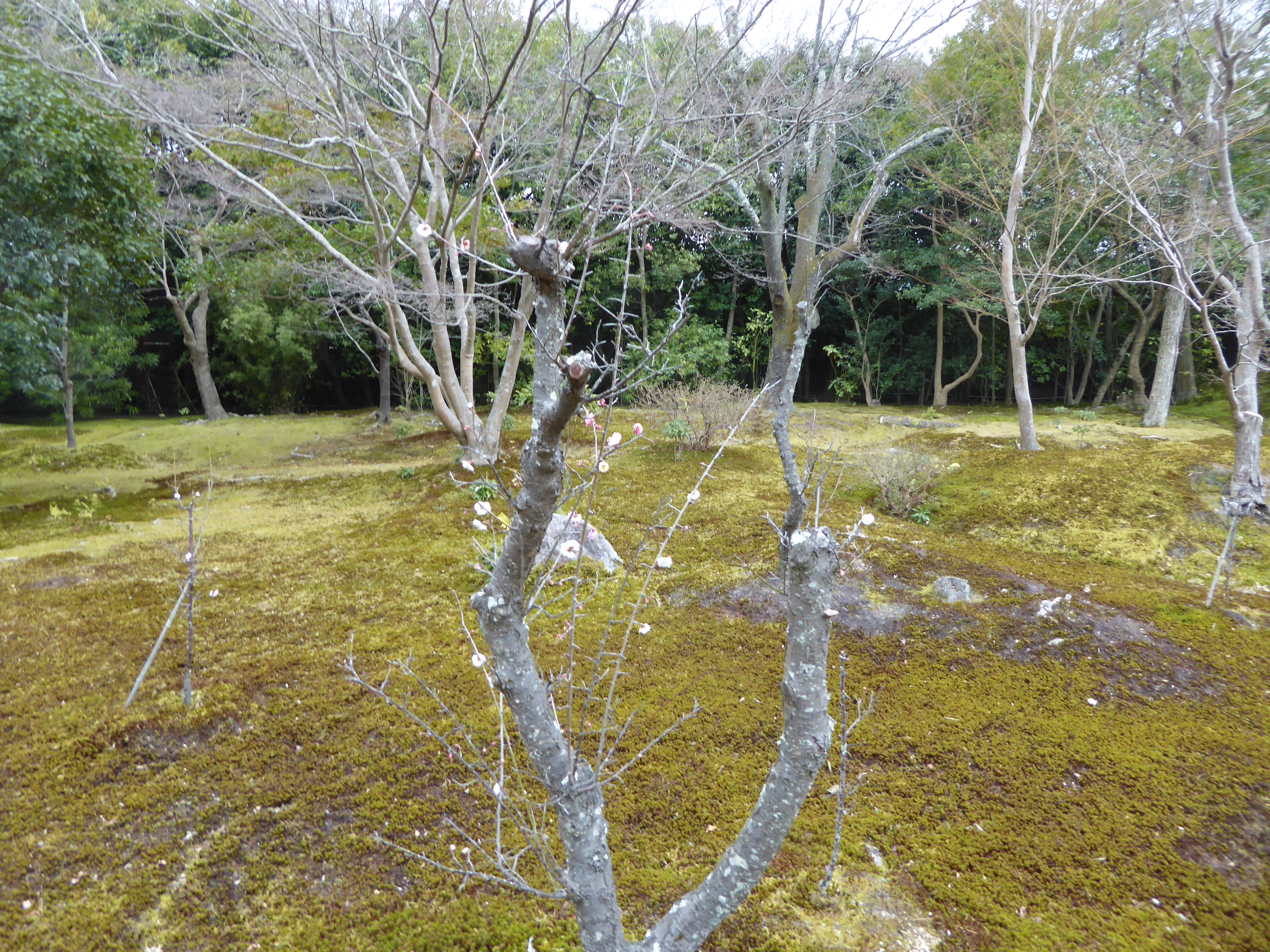 P1050449.JPG