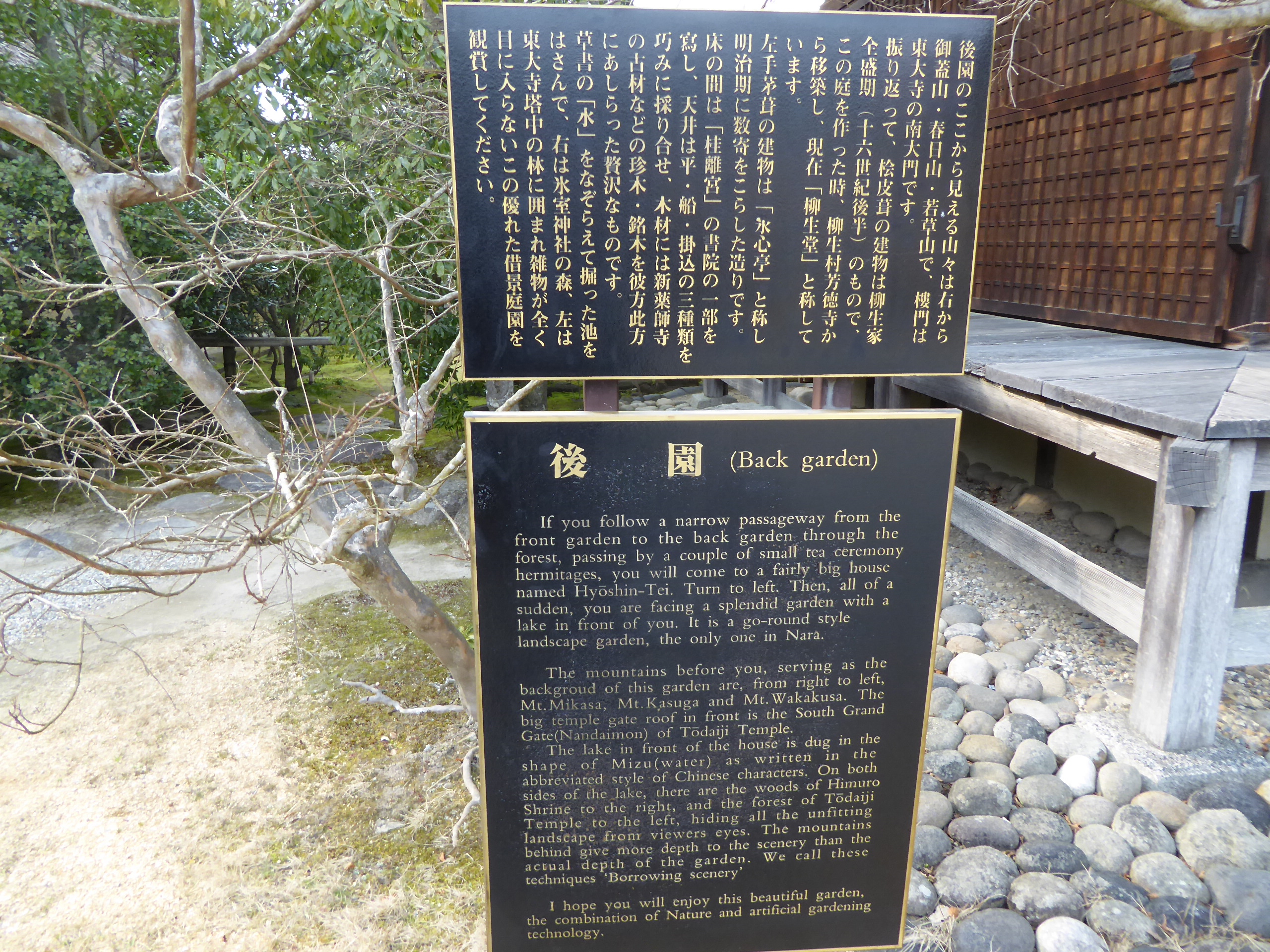 P1050451.JPG