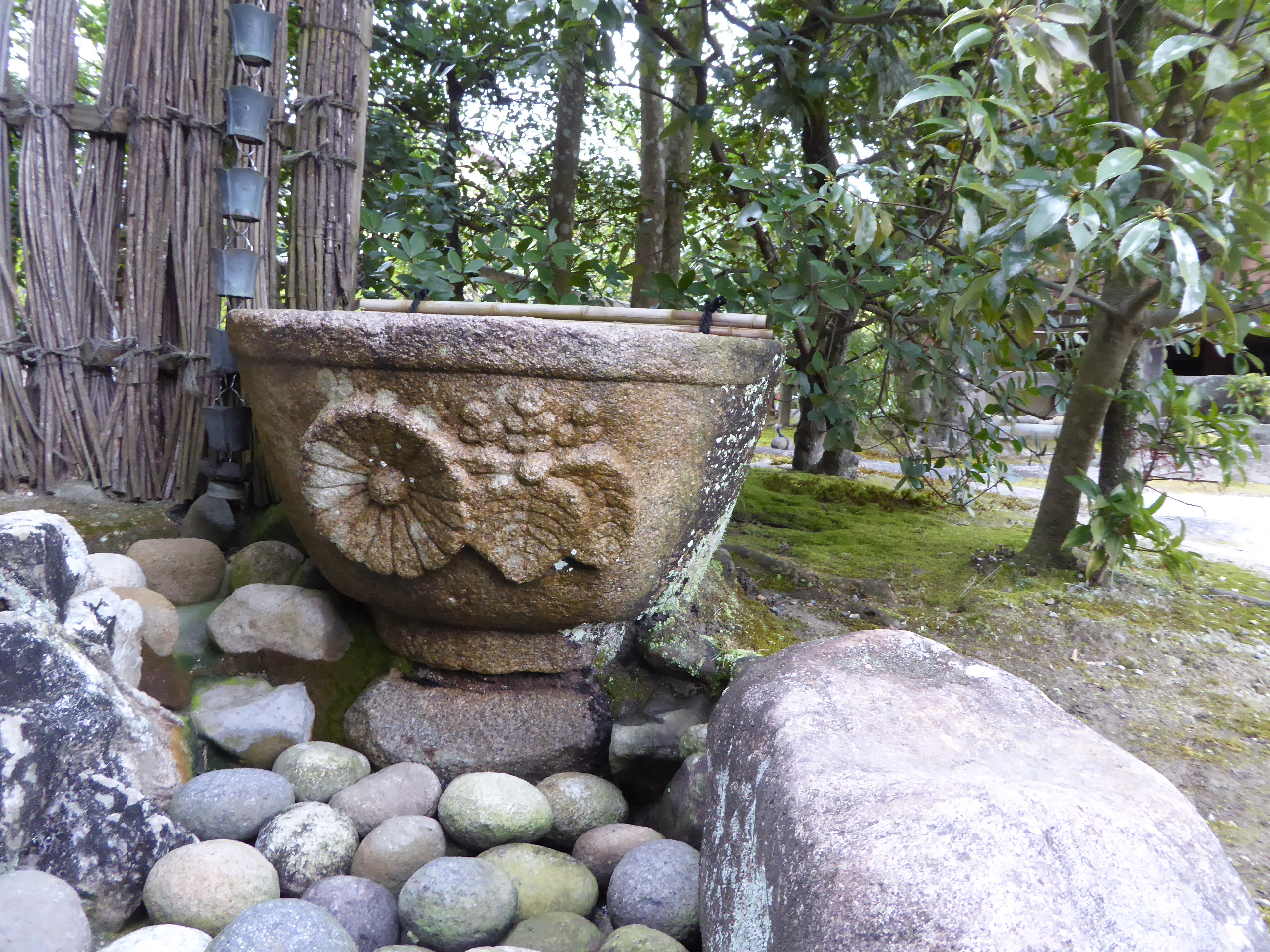 P1050453.JPG