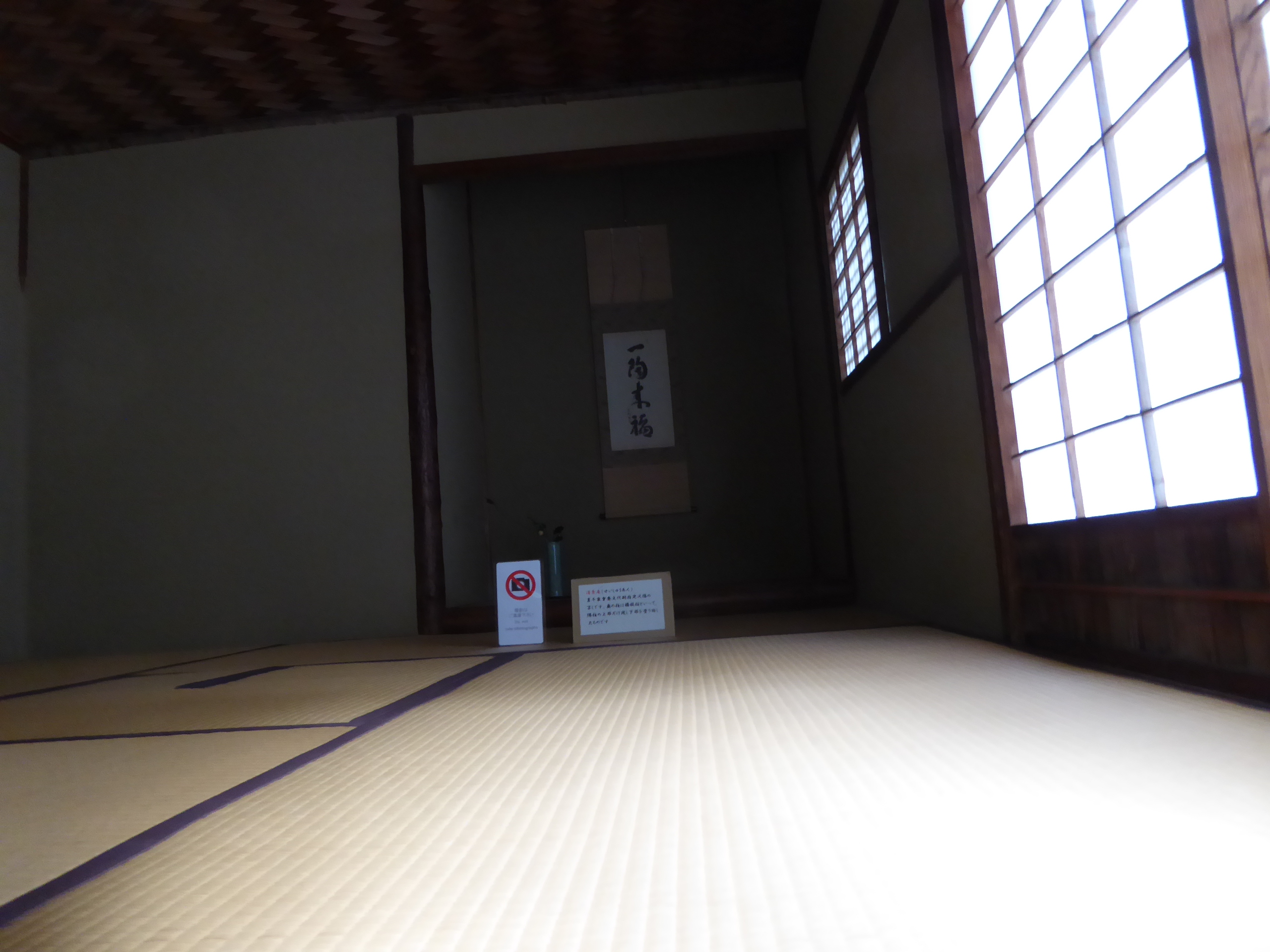 P1050454.JPG