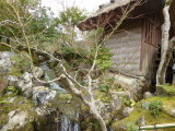 img0014.jpg
