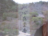 img0020.jpg