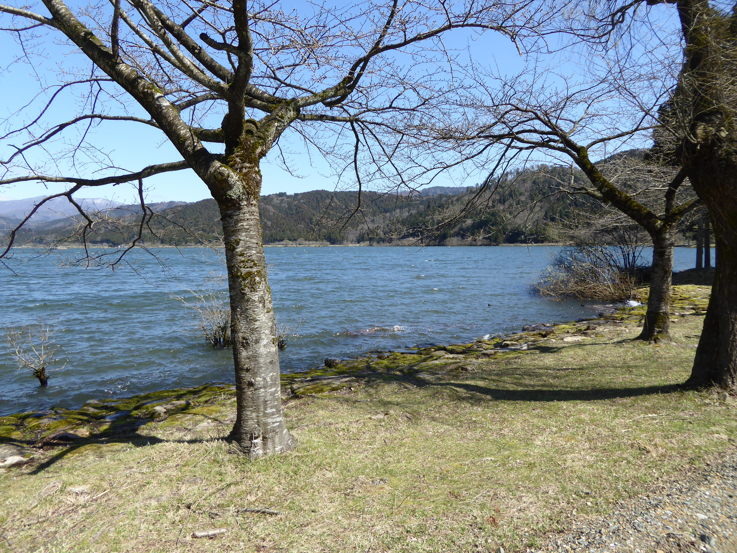 P1050512.JPG