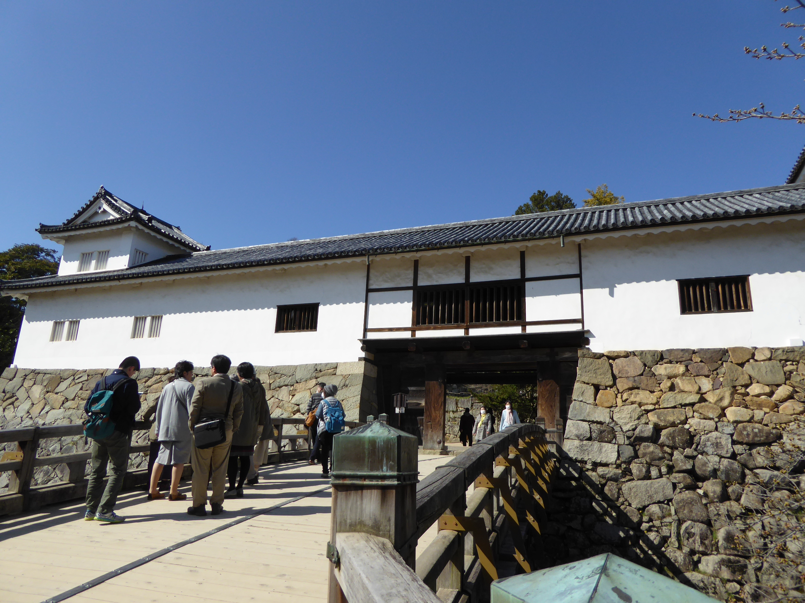 P1050520.JPG