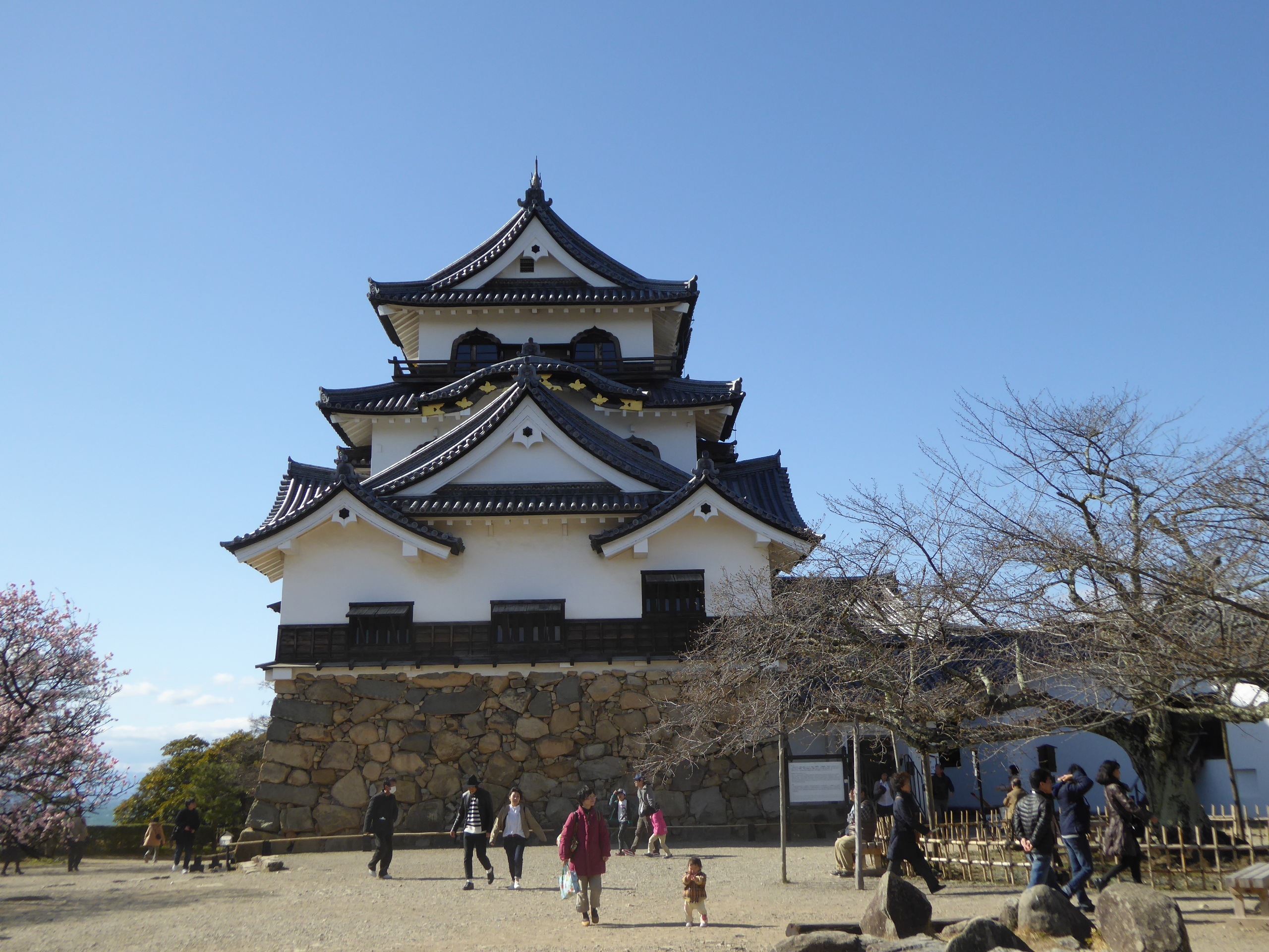 P1050524.JPG