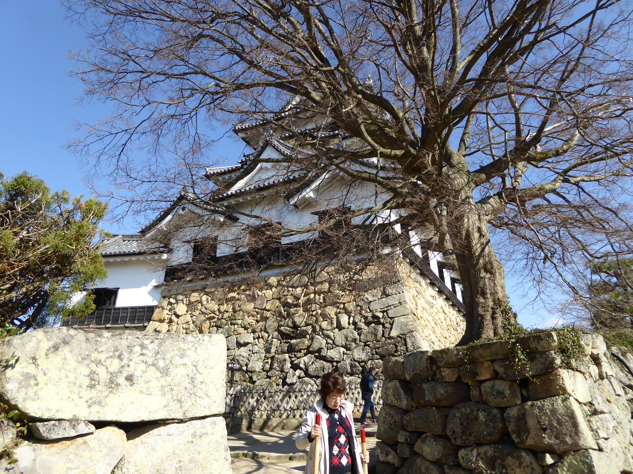 P1050529.JPG