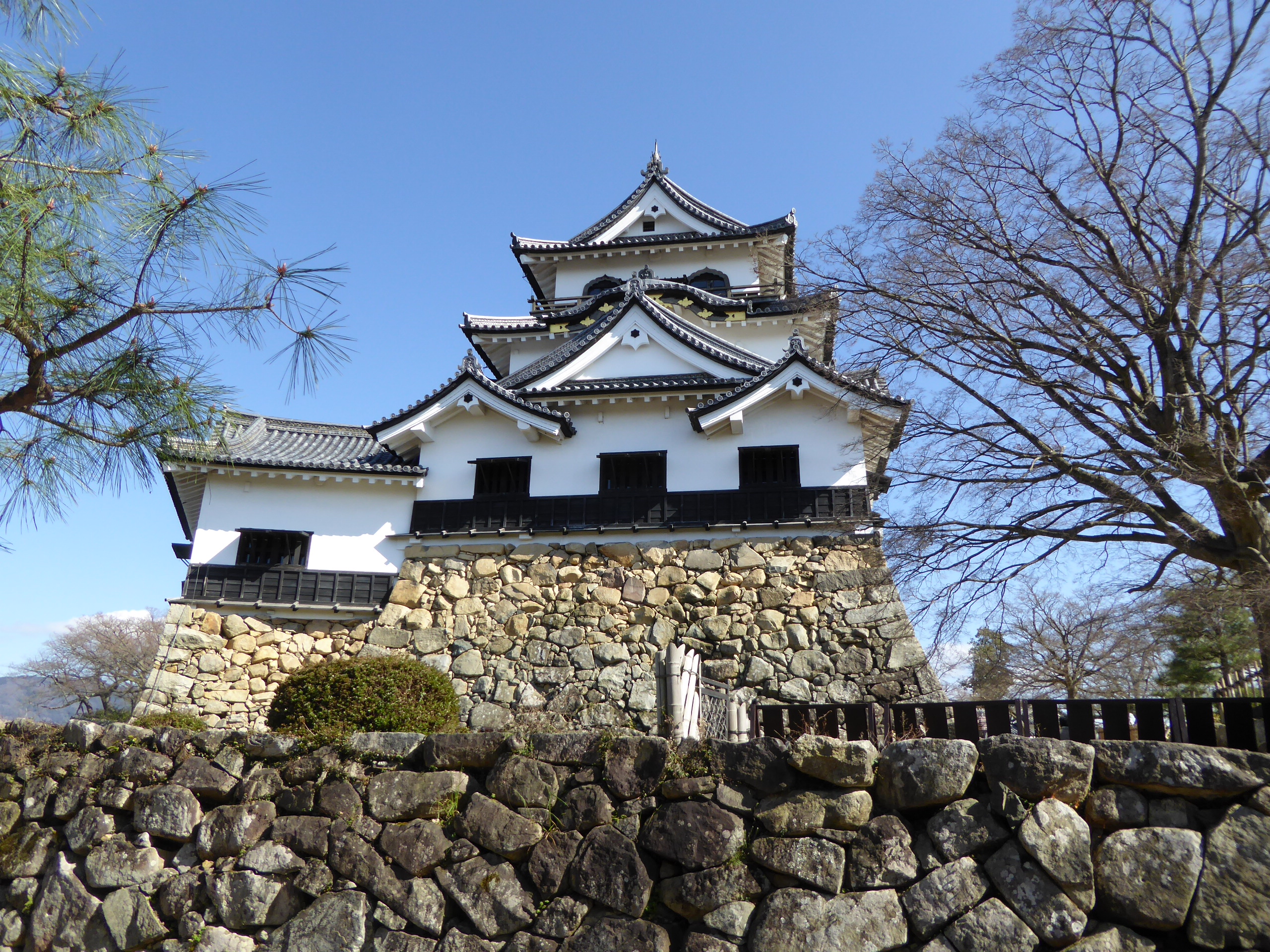 P1050530.JPG
