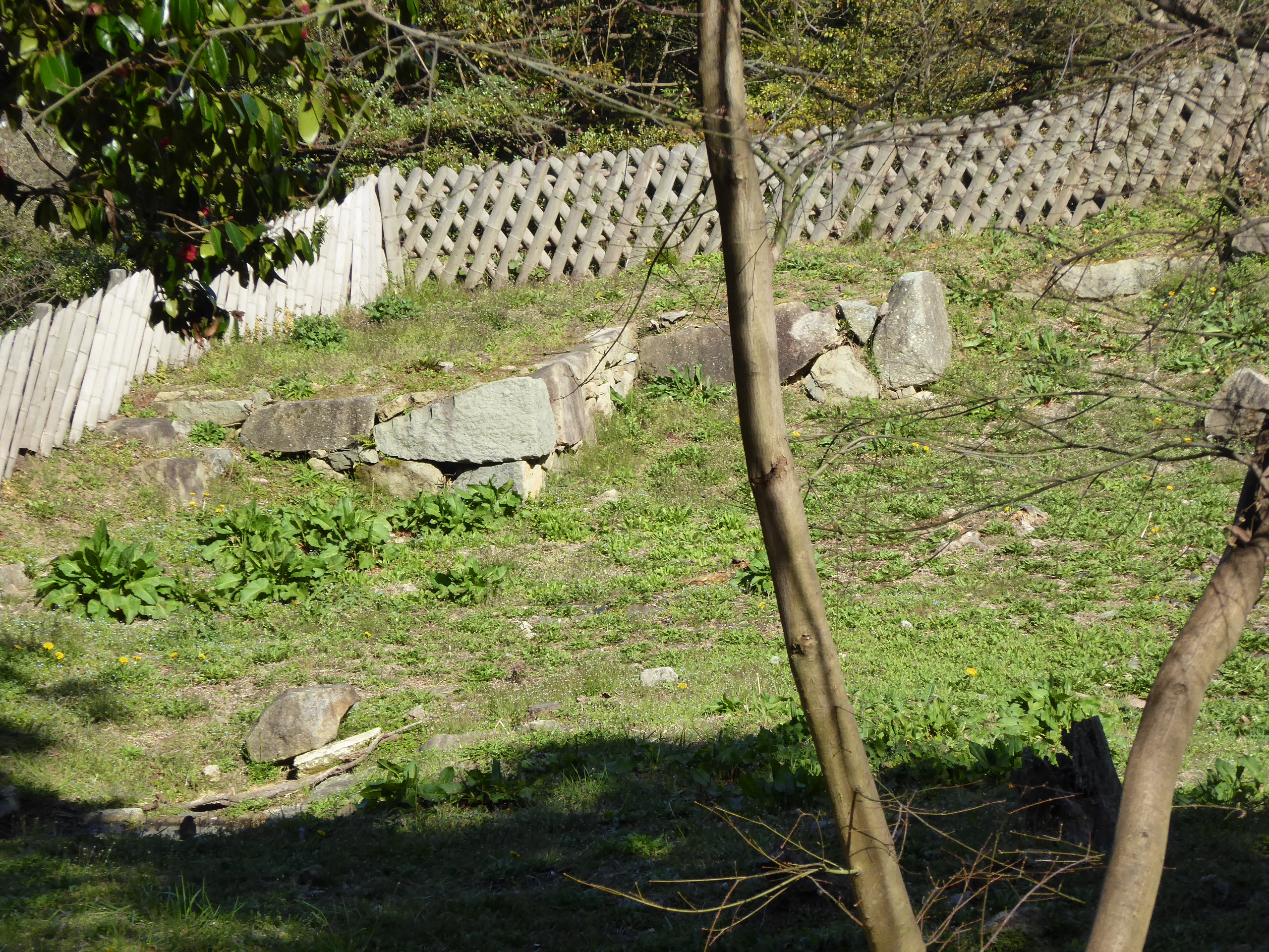 P1050532.JPG