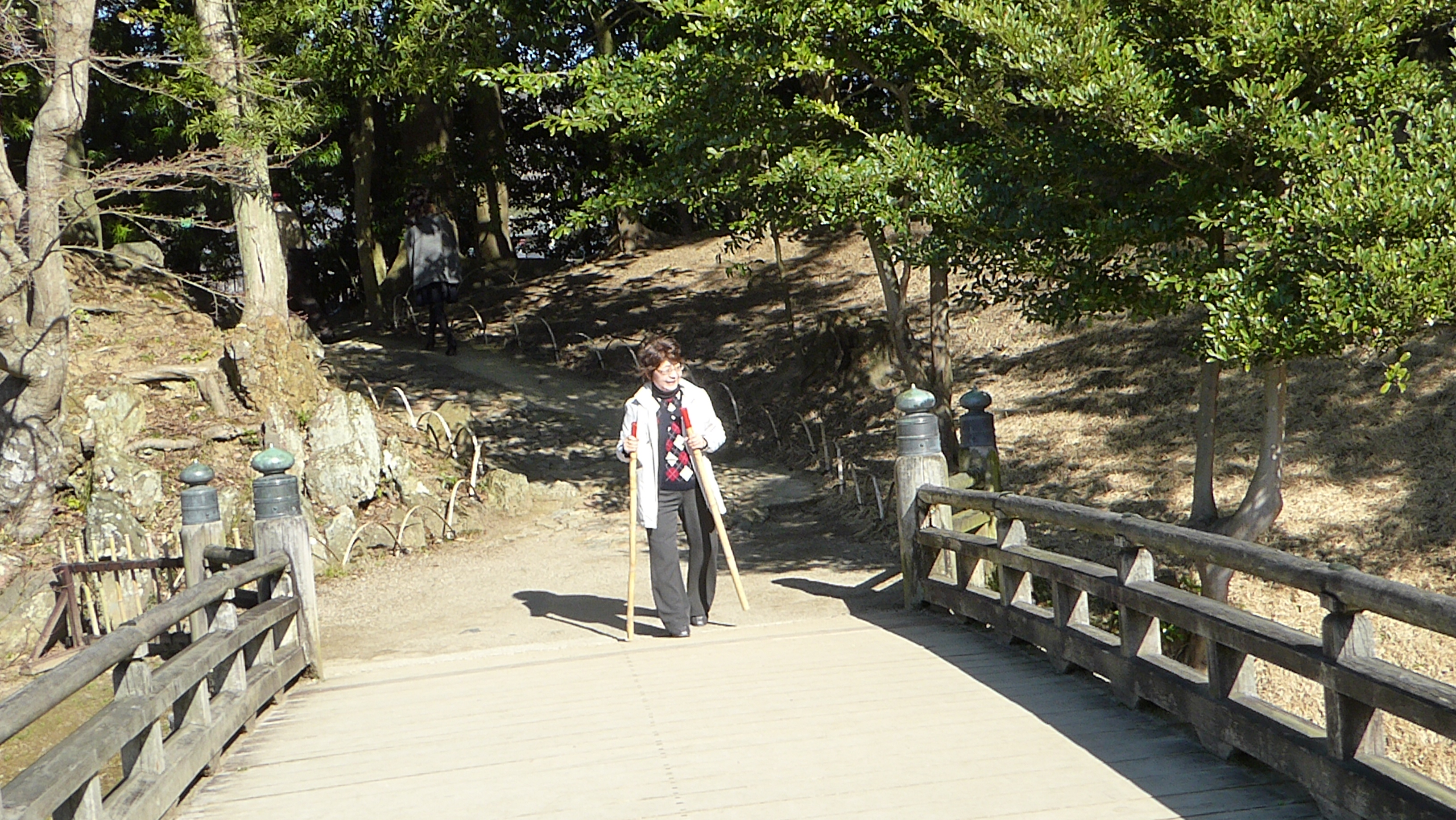 P1050539.JPG