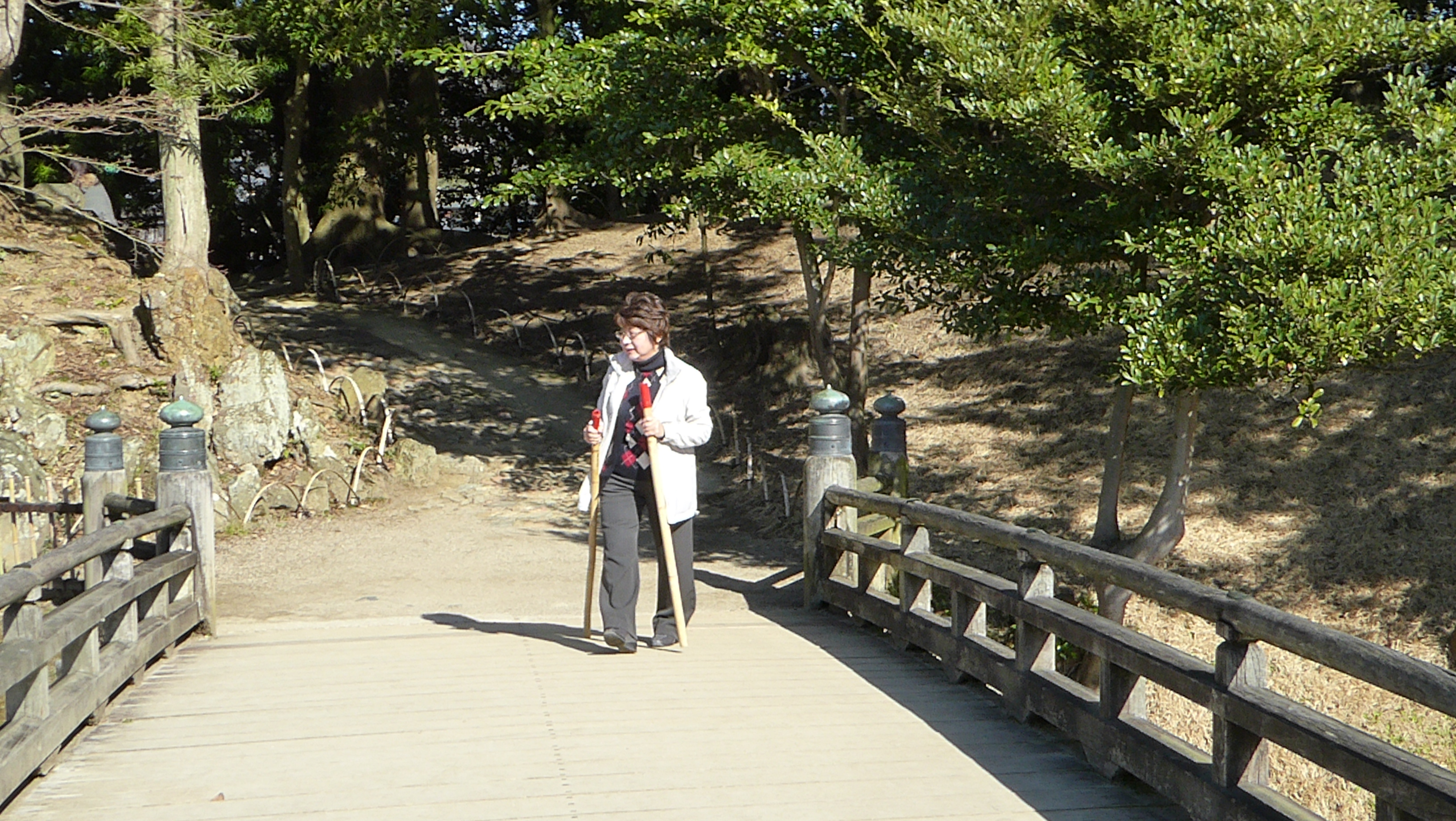 P1050541.JPG