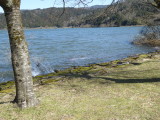 img0002.jpg