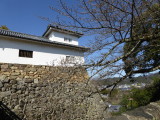 img0012.jpg