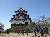 img0015.jpg