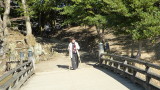 img0029.jpg