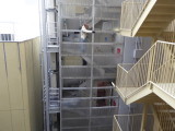 img0009.jpg