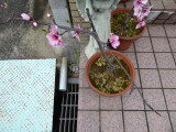 img0000.jpg